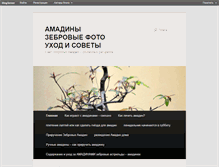 Tablet Screenshot of amadina.blogserver.ru